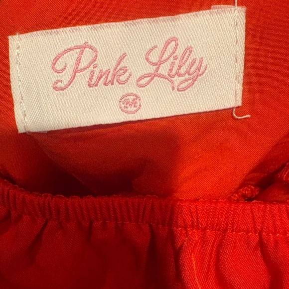 Sweeter With Time Balloon Sleeve Red Dress- Pink Lily - Picture 3 of 7